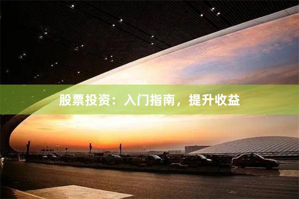 股票投资：入门指南，提升收益