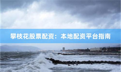 攀枝花股票配资：本地配资平台指南