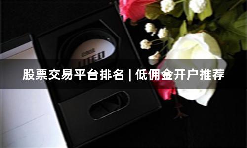 股票交易平台排名 | 低佣金开户推荐